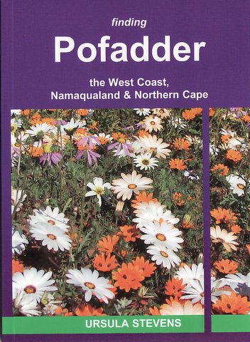 Finding Pofadder